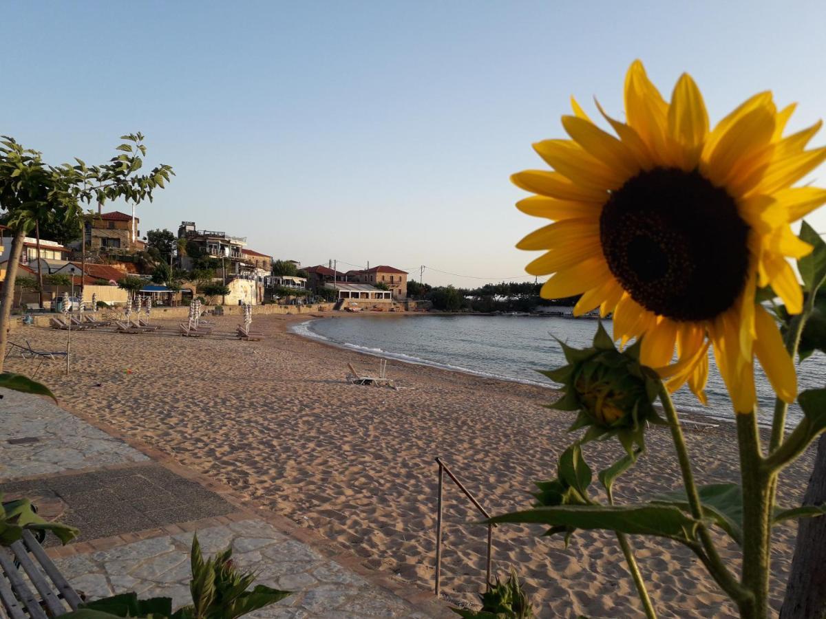 Antonias House Villa Stoupa Ngoại thất bức ảnh